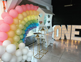 Organic ballonnenboog Rainbow